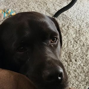 Meet your Posher, Maryann